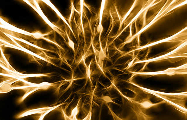 Enolase, Neuron Specific Antibody