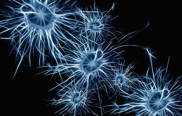 Recombinant Survival Of Motor Neuron 2, Centromeric (SMN2)