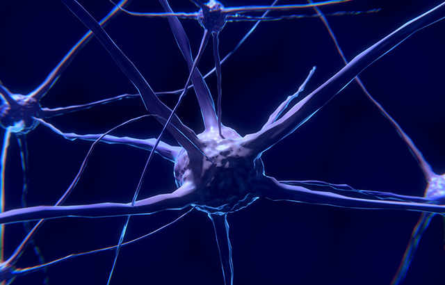 non-neuronal enolase(NNE) ELISA Kit