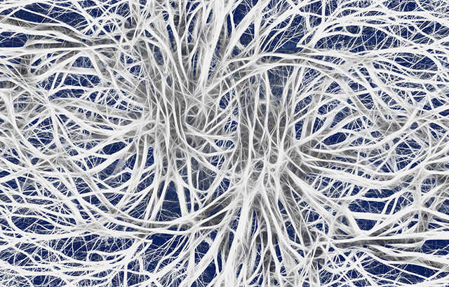 Recombinant Nitric Oxide Synthase 1, Neuronal (NOS1)