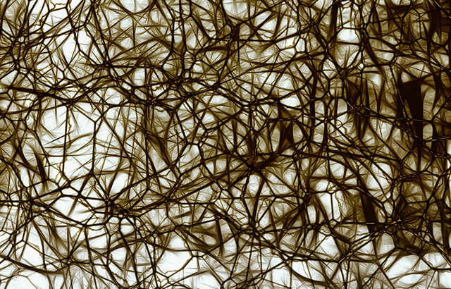 Recombinant Nitric Oxide Synthase 1, Neuronal (NOS1)