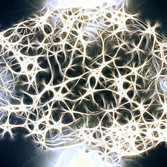 Recombinant Brain Derived Neurotrophic Factor (BDNF) | Technique alternative | 01018036316