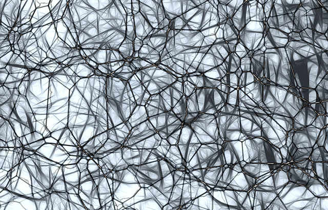Human Alzheimer associated neuronal thread protein ELISA Kit