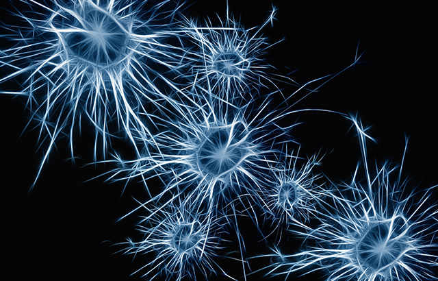 Bovine Alzheimer-associated neuronal thread protein ELISA Kit