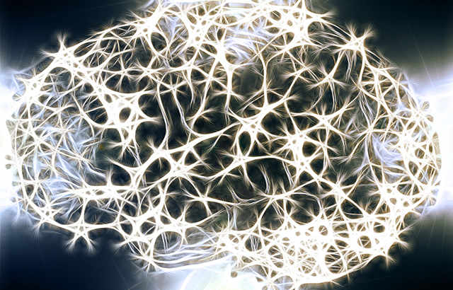 Recombinant Cadherin, Neuronal (CDH2)